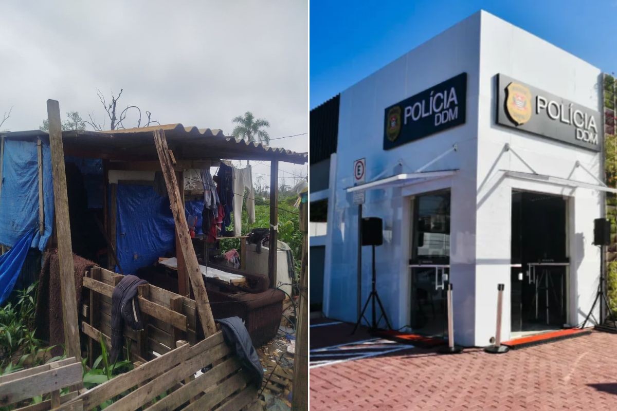 Menina de 2 anos morre após ataque a marteladas enquanto brincava em casa no litoral de SP