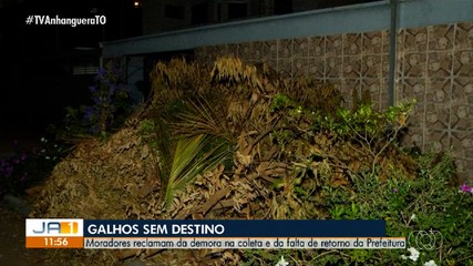 Moradores reclamam da demora na coleta de galhadas em Palmas
