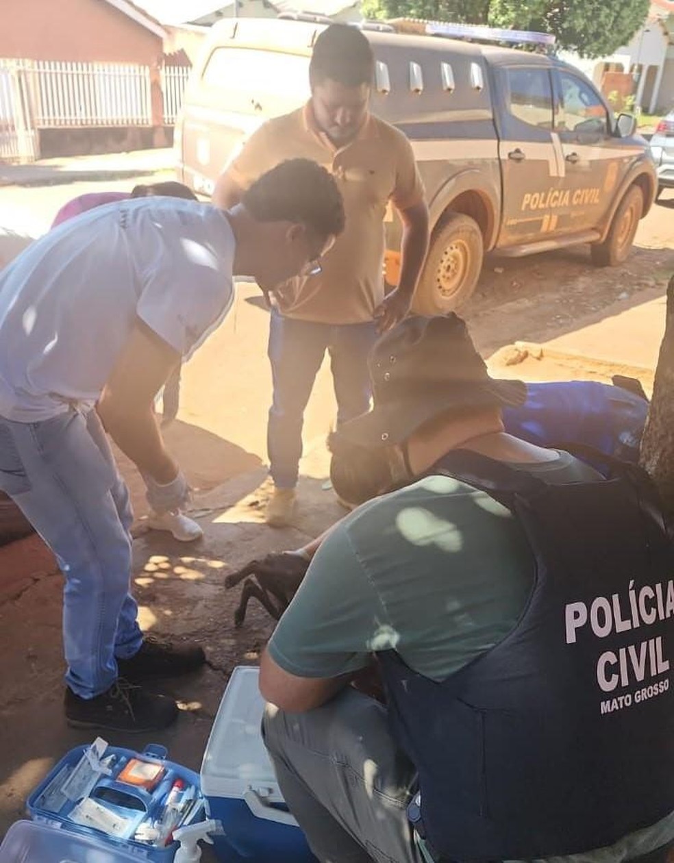 Dona do local já havia sido advertida, mas não regularizou a situação. — Foto: Polícia Civil