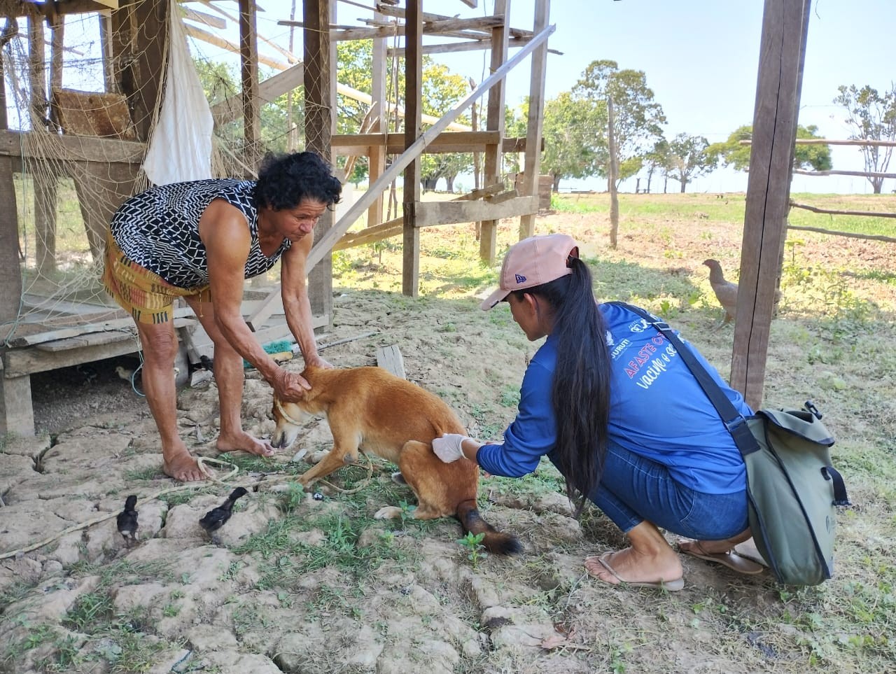 Campanha de vacinação antirrábica de cães e gatos na zona urbana de Juruti começa na segunda, 11
