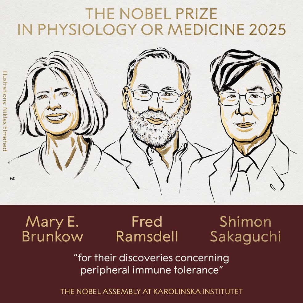 Vencedores do Nobel da Medicina Mary E. Brunkow, Fred Ramsdell and Shimon Sakaguchi — Foto: Reprodução/Nobel Prize