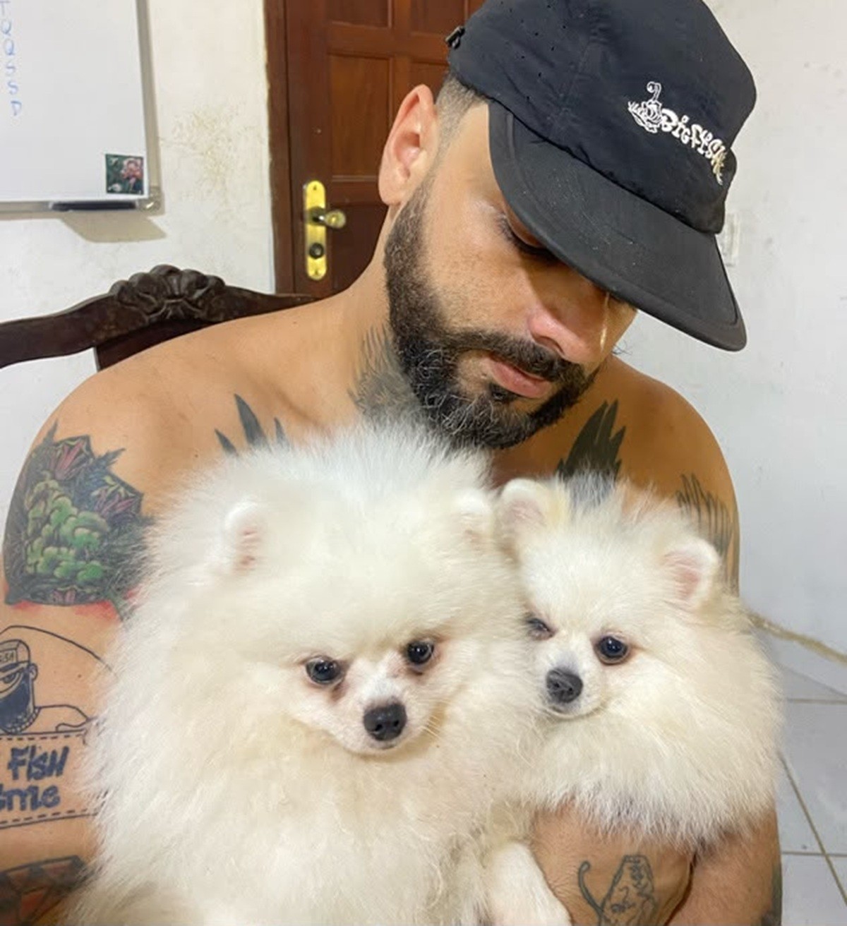 VÍDEO: artista plástico reencontra cães levados durante assalto violento em Araruama: 'São como filhos'