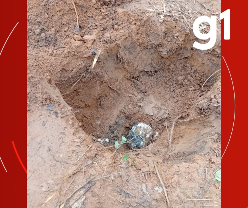 Ossadas humanas com sinais de violência são encontradas enterradas em Várzea Grande — Foto: Guarda Municipal de Várzea Grande