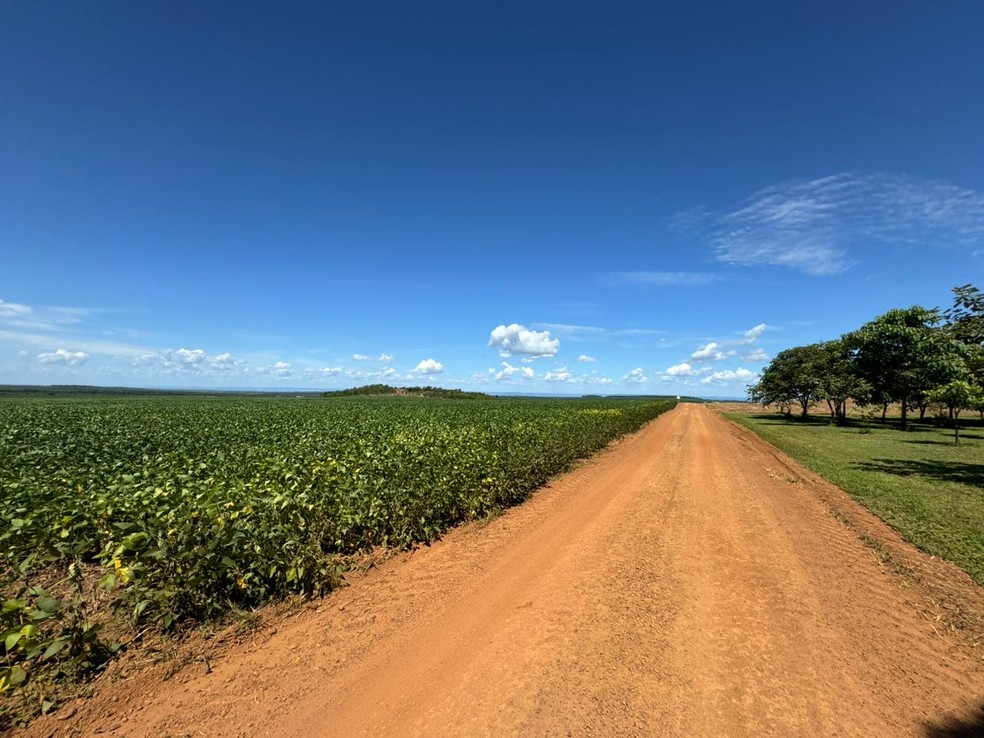 Rodovias que conectam as áreas produtivas à BR-153 sustentam a competitividade do agro e a integração com os mercados nacionais. — Foto: Yuri Felipe Sousa