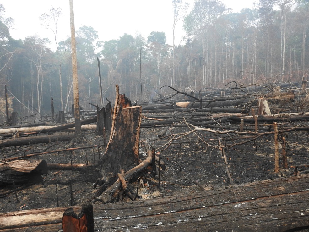 Parque natural de Porto Velho — Foto: Ariel Adorno