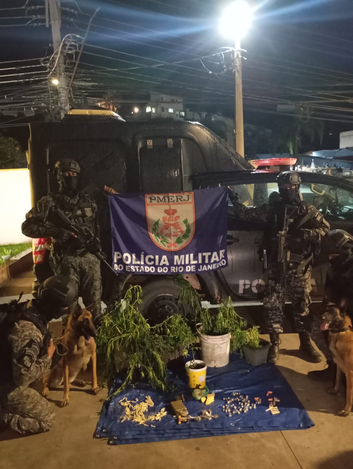 BAC apreende drogas e 11 pés de maconha em área de mata, em Barra Mansa