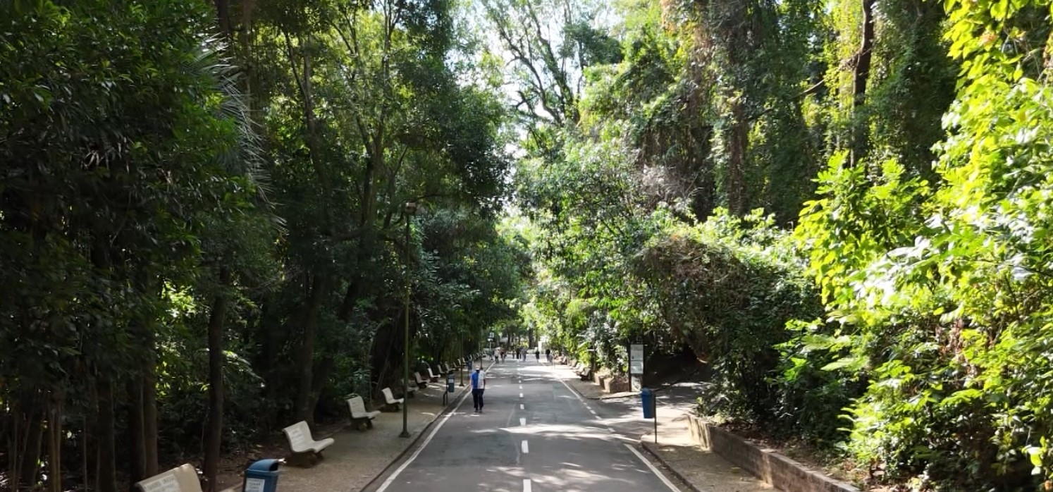 De alfaiate a ótica: anúncios antigos em bancos do Bosque dos Jequitibás guardam história do comércio de Campinas