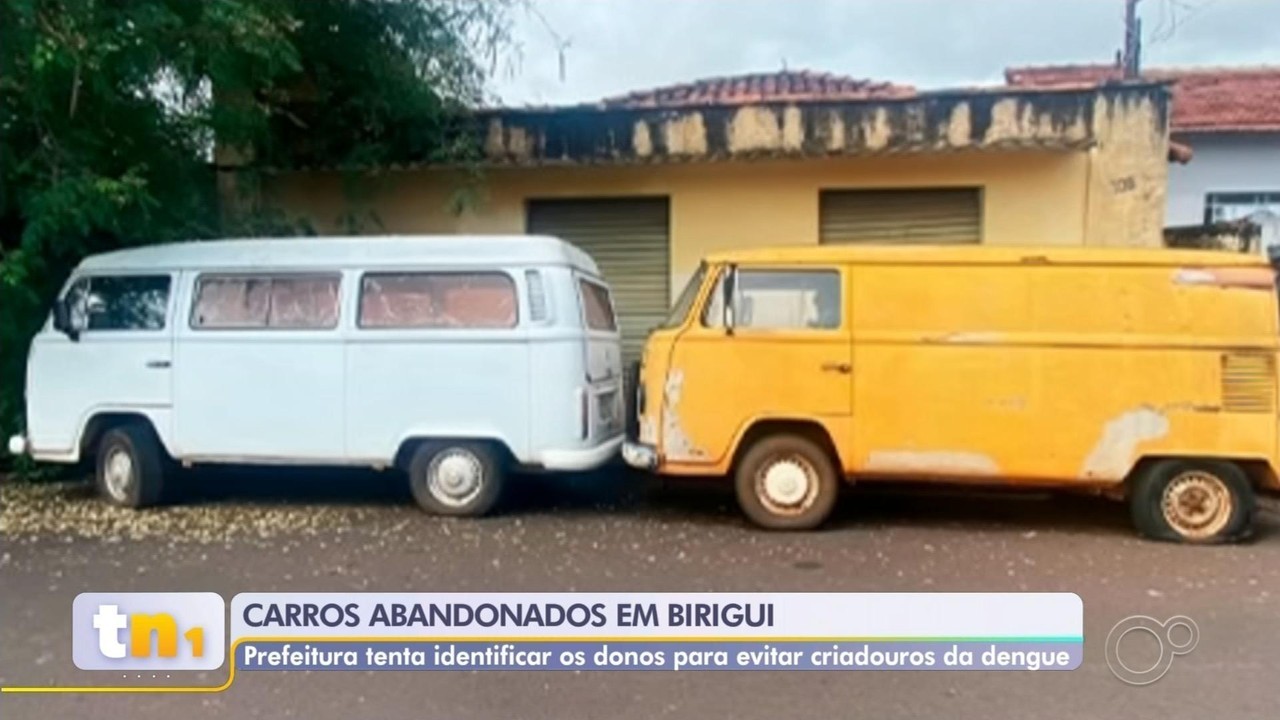 Jovens sem comorbidades estão entre pessoas que perderam a vida devido à dengue no interior de SP: 'Ela é silenciosa'