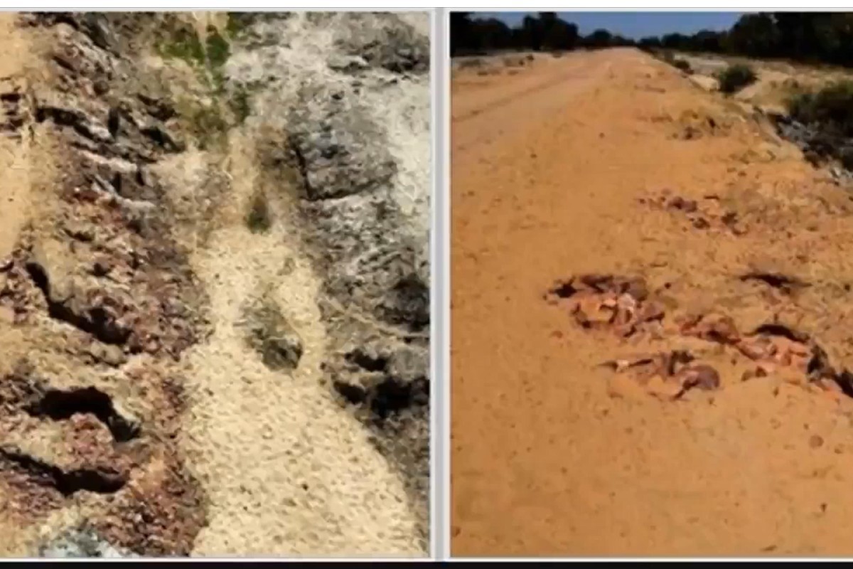 MPE investiga danos ambientais e falhas em obra na estrada do Taquari, no Pantanal