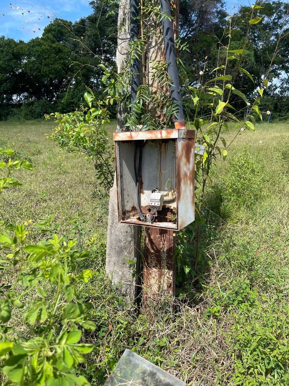 Cinco são presos por furto de energia no Ceará — Foto: Enel/Divulgação