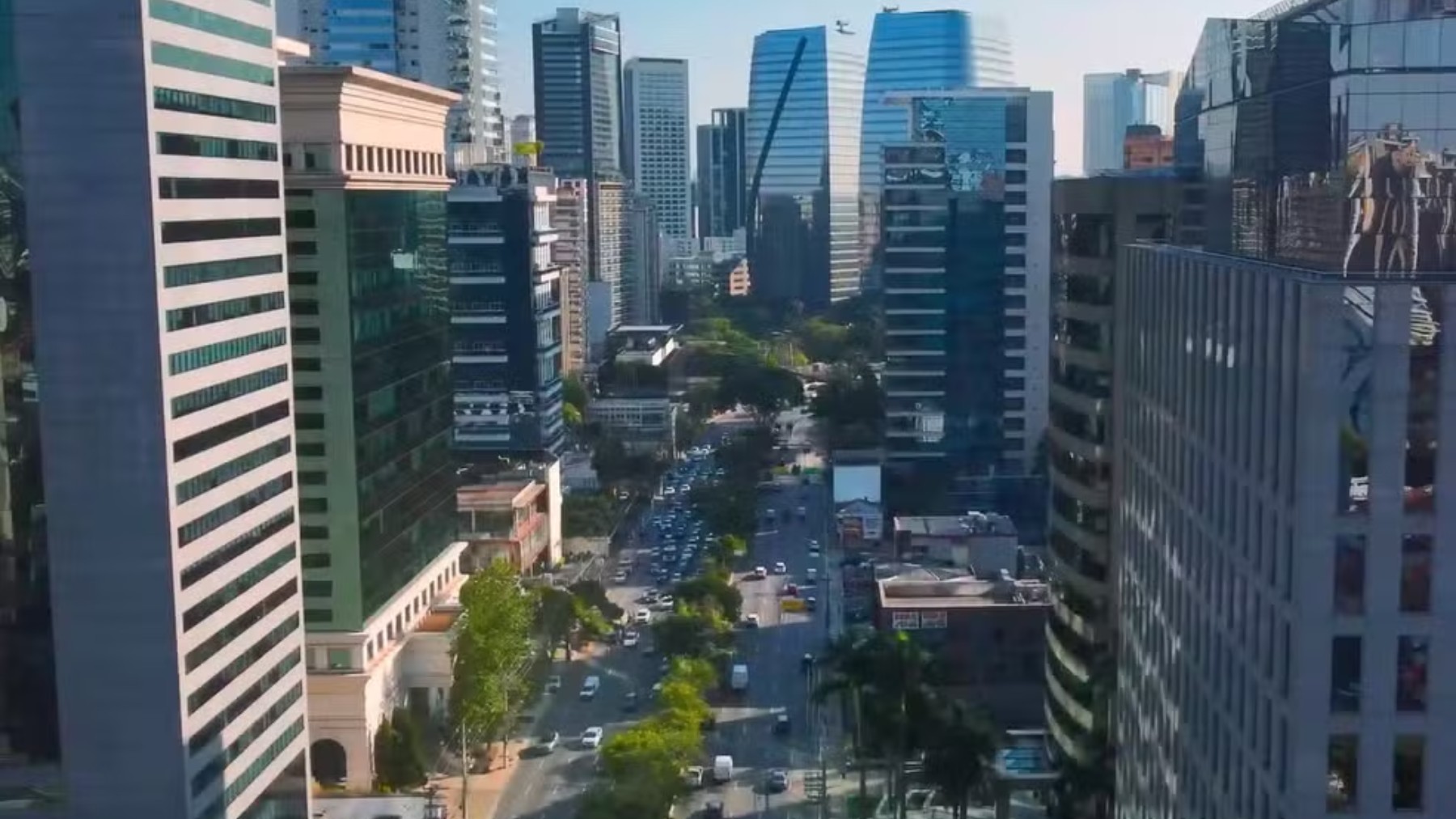 Toneladas de soja são encontradas no Paraná com nota falsa dizendo que carga foi carregada na Av. Faria Lima, a 'Wall Street brasileira'