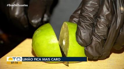 Preço do limão dispara e afeta hábito dos consumidores
