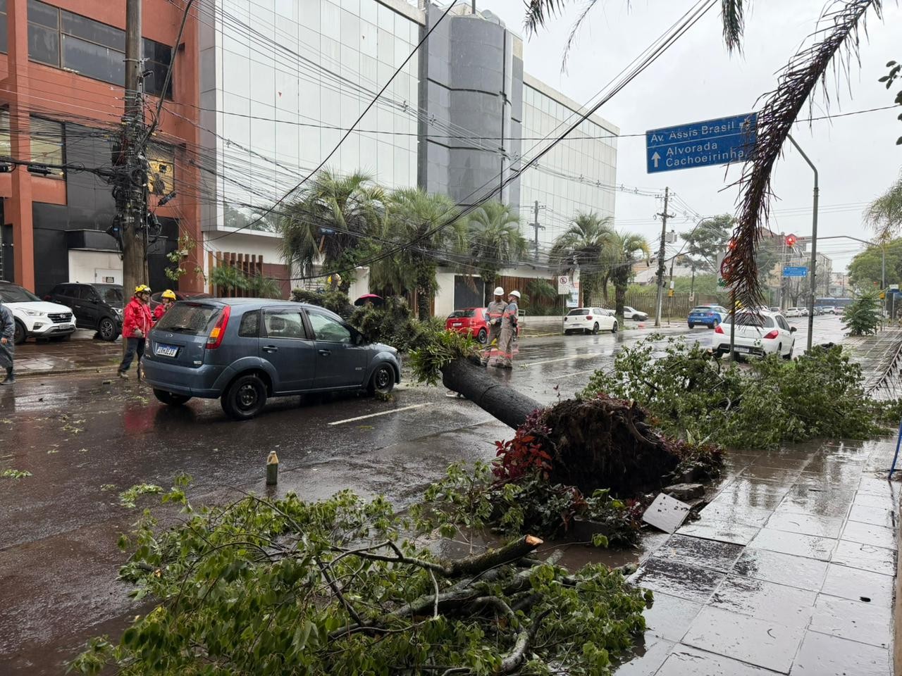 Árvore cai e atinge carro na Zona Norte de Porto Alegre; veja relato de motorista