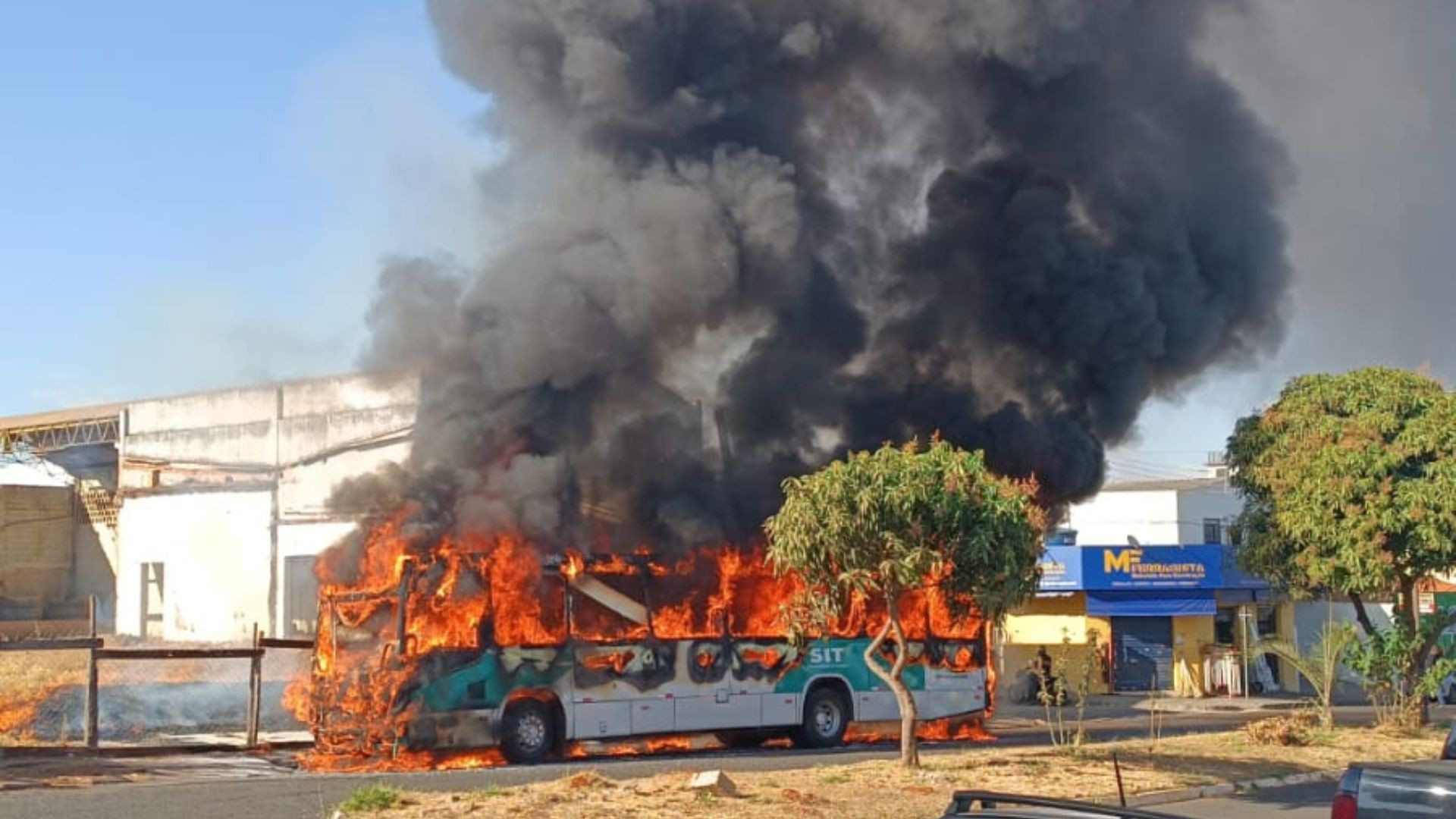 Ônibus do transporte público e área de vegetação pegam fogo em Uberlândia; não houve vítimas