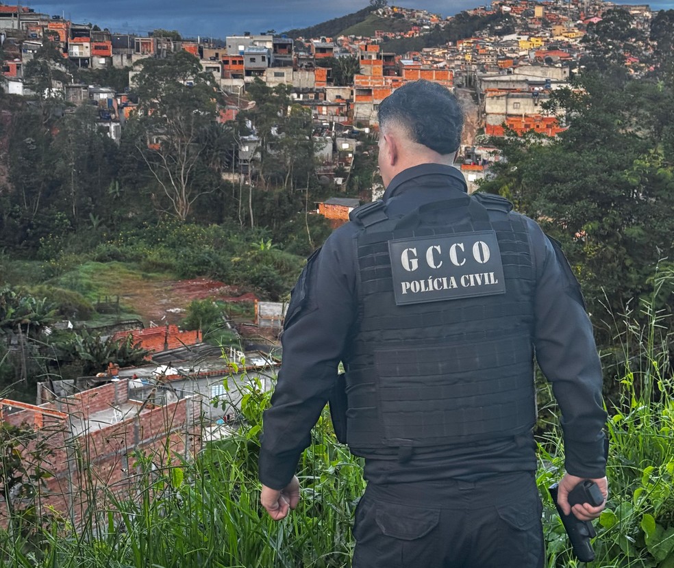 Indiciados foram alvos de operação em São Paulo — Foto: Polícia Civil