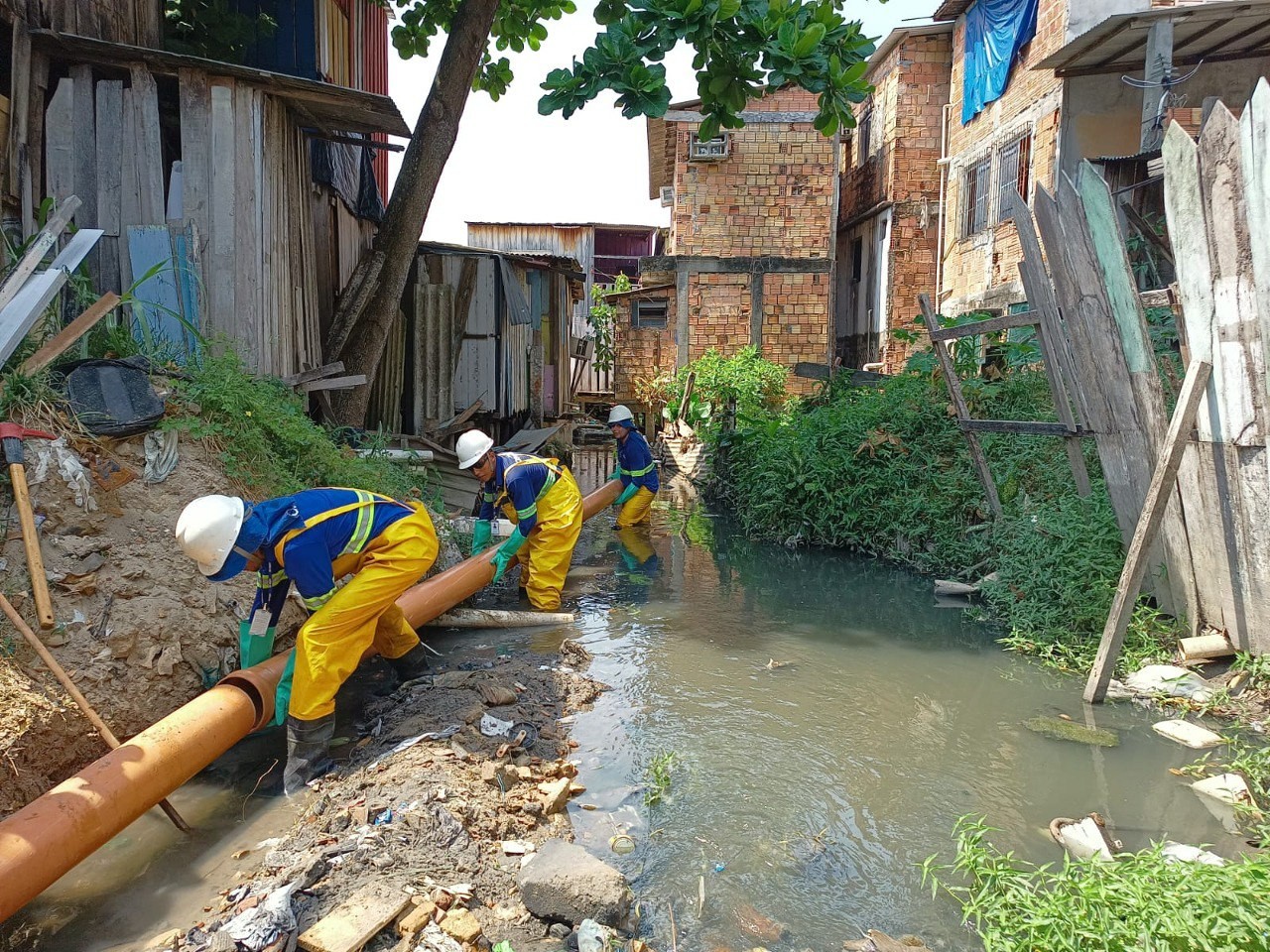 Dia do Meio Ambiente: Adesão ao sistema de esgotamento sanitário ...