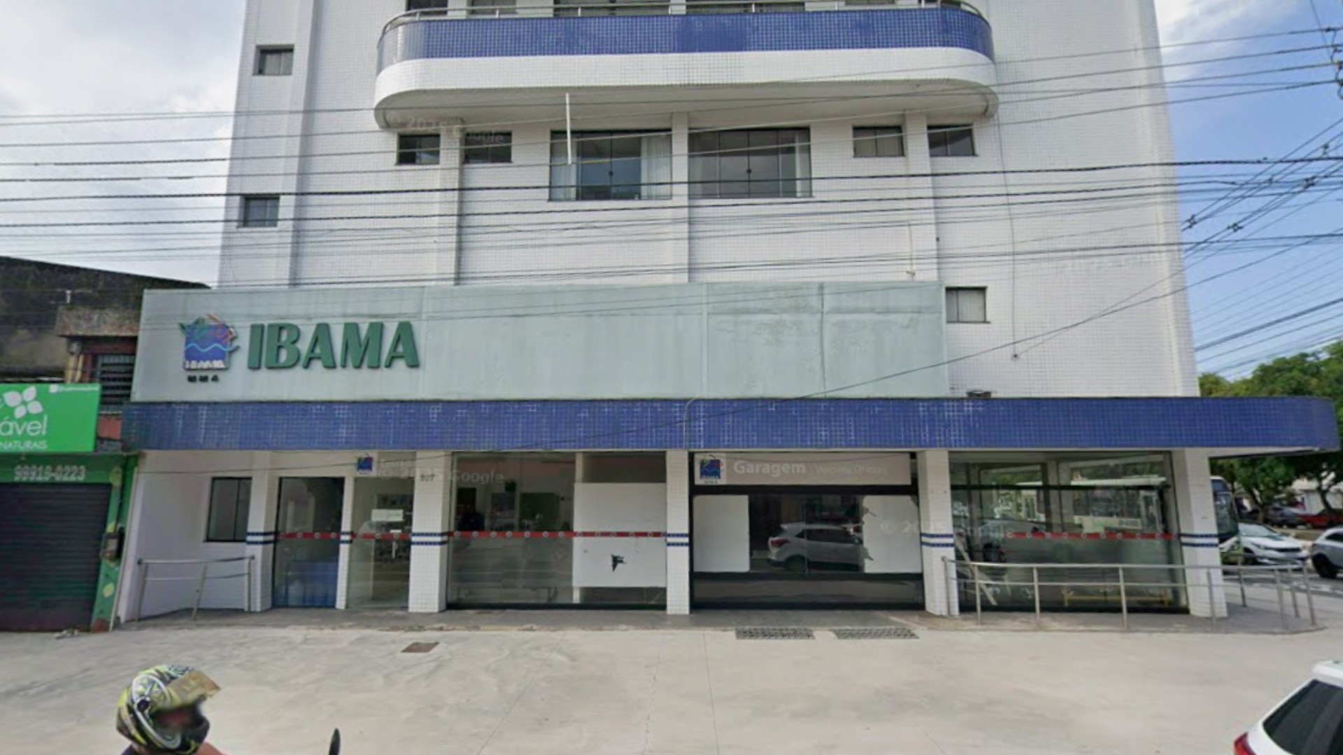 IBAMA abre processo seletivo para estágio remunerado em Belém e Santarém