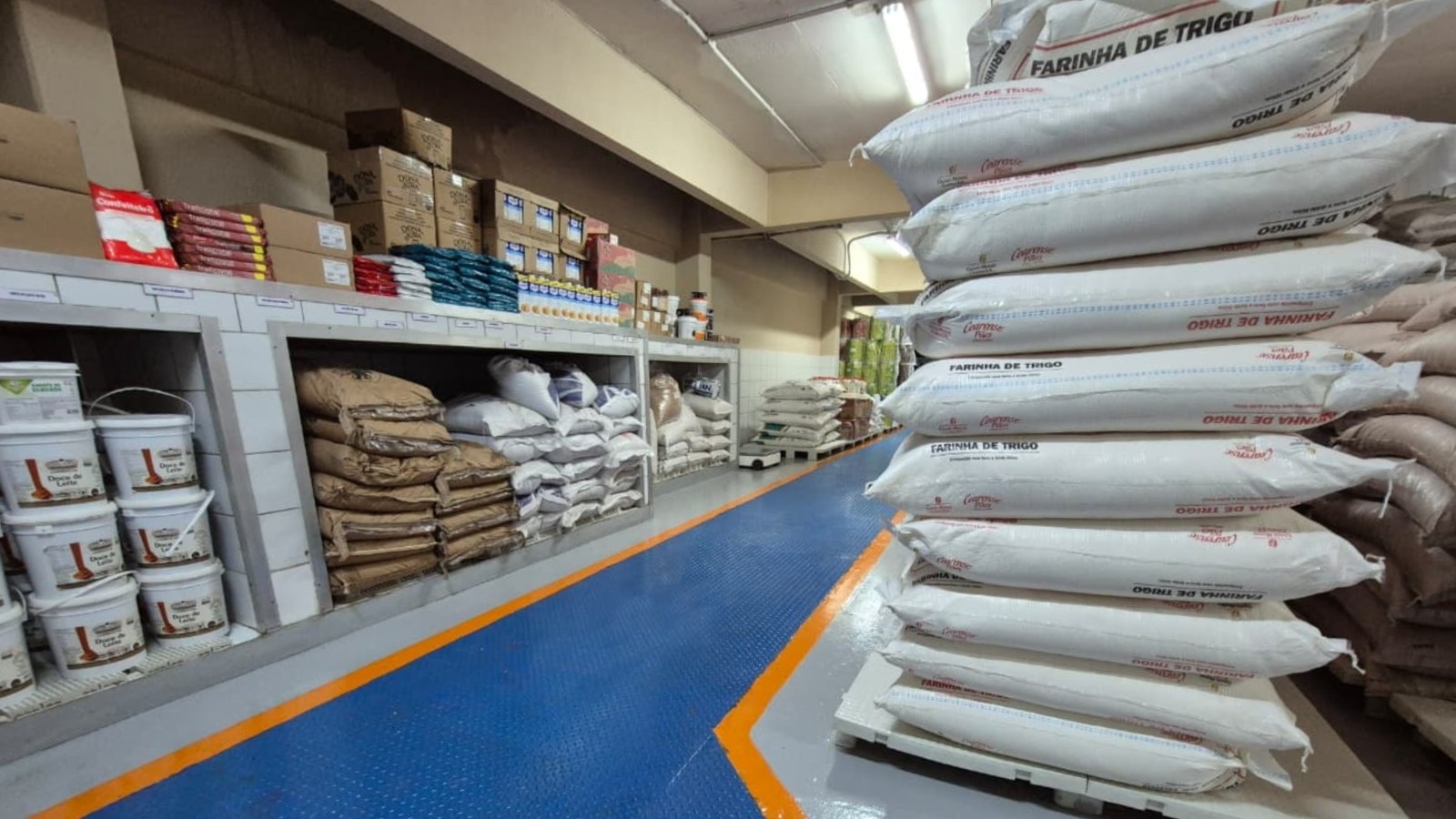 Fábrica de pães interditada em Fortaleza por infestação de baratas reabre após adequações sanitárias