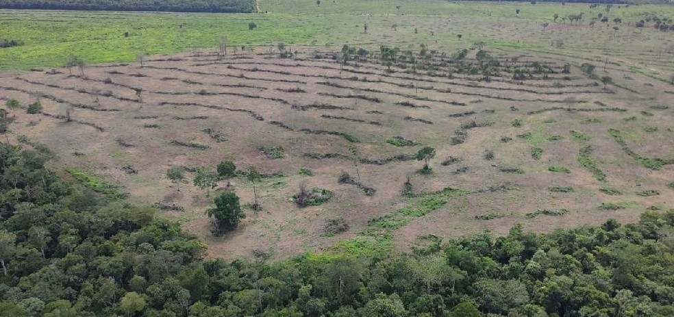 Imagens de satélite emitem alertas sobre desmatamento — Foto: Sema-MT