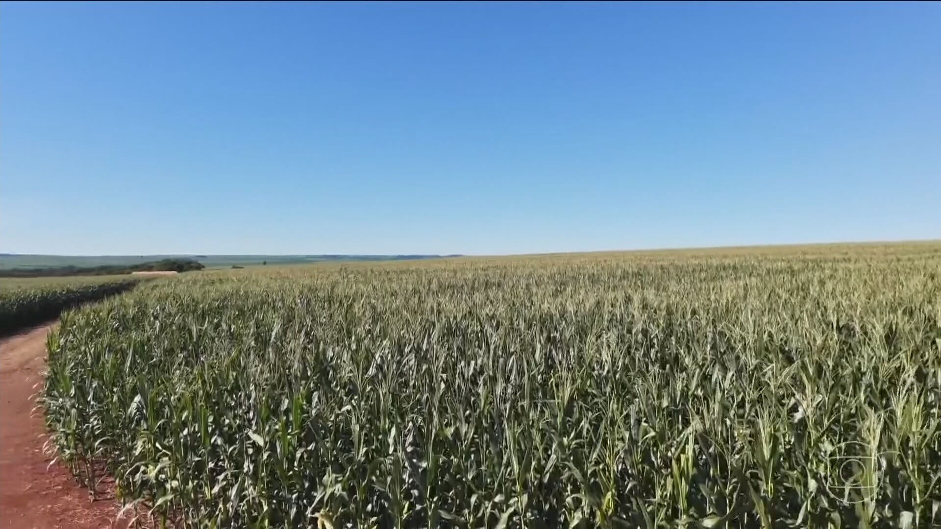 Previsões para o El Niño estão mudando a produção no campo
