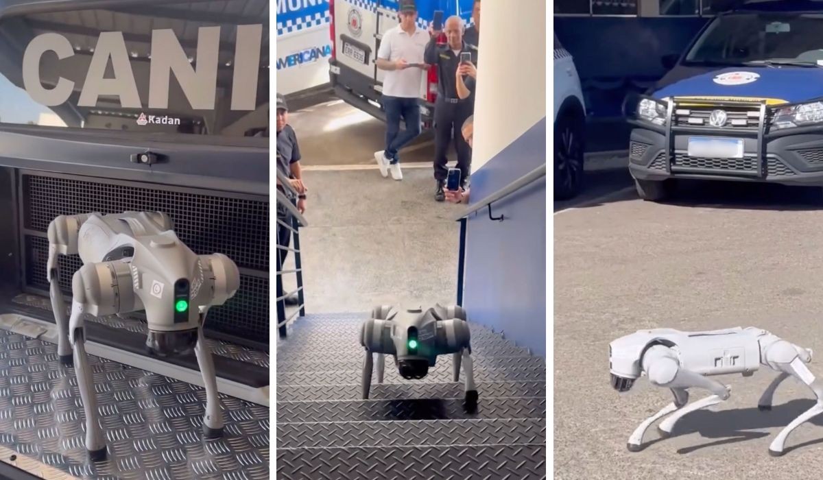 Americana quer usar cão-robô para seguir pessoas e mapear ambientes; entenda