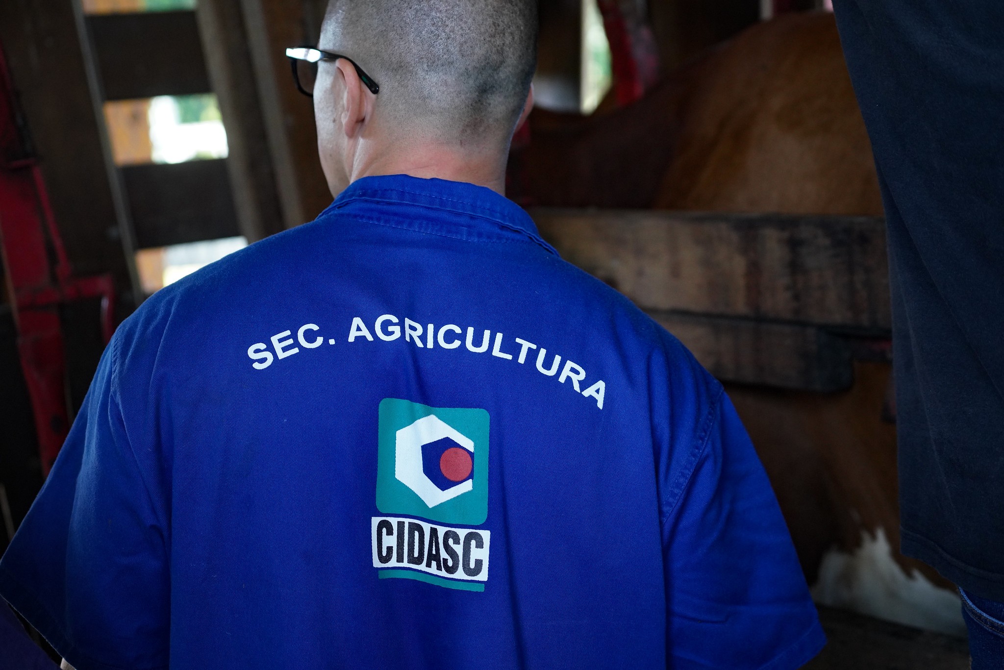 Concurso da Cidasc tem 28 vagas e salários de até R$ 12,5 mil para atuar em Florianópolis; veja como se inscrever