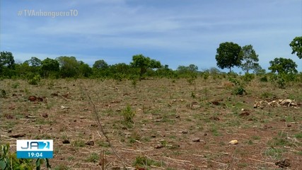 Governo Federal divulga dados sobre a seca no Tocantins; saiba mais