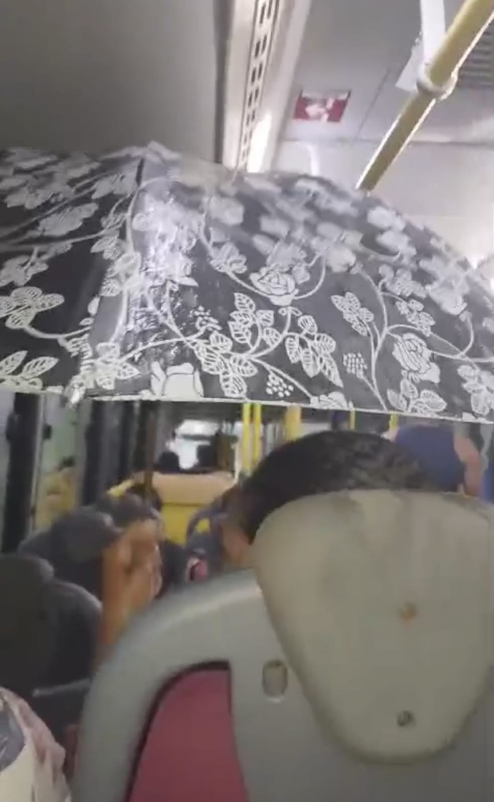 Passageira usou guarda-chuva para se proteger das goteiras dentro de ônibus — Foto: Reprodução