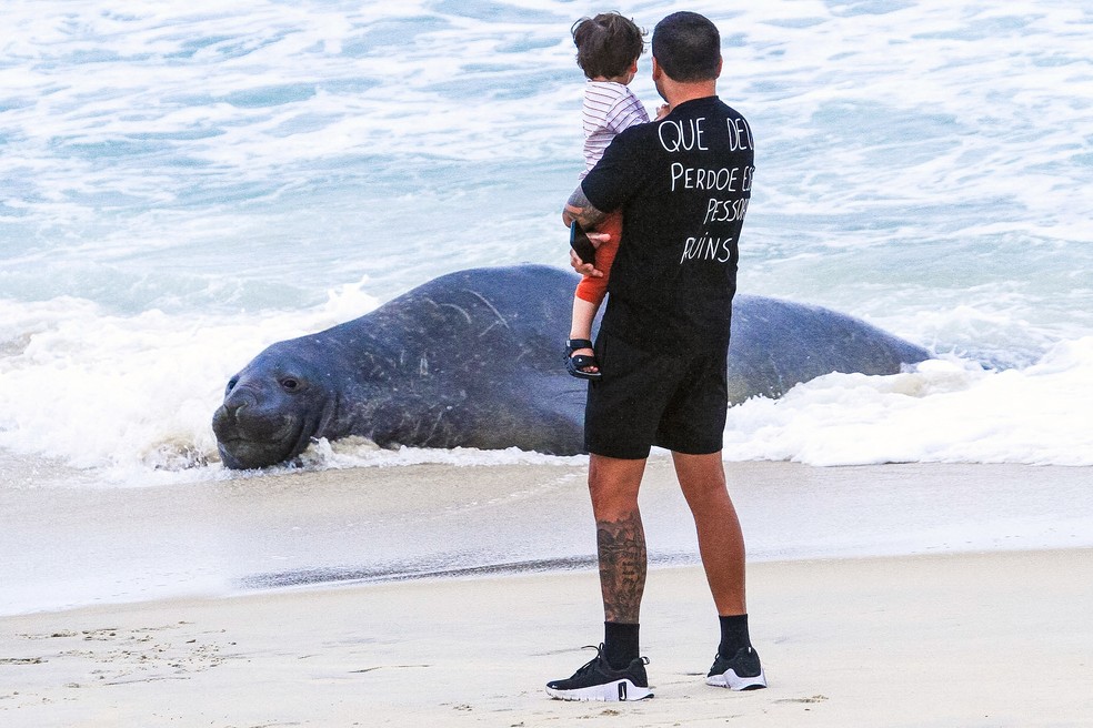 Animal marinho aparece na Praia de São Conrado — Foto: Fabrício Pioyani/ AgNews
