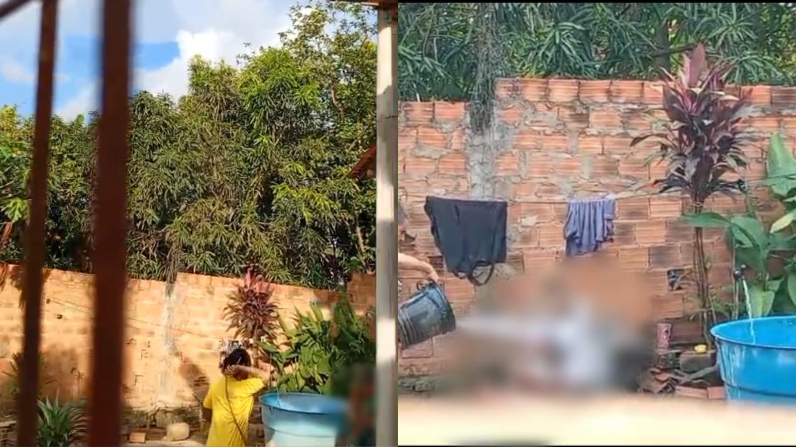 VÍDEO: Idosa de 93 anos é agredida pela nora no PI; vizinhos denunciam e polícia investiga