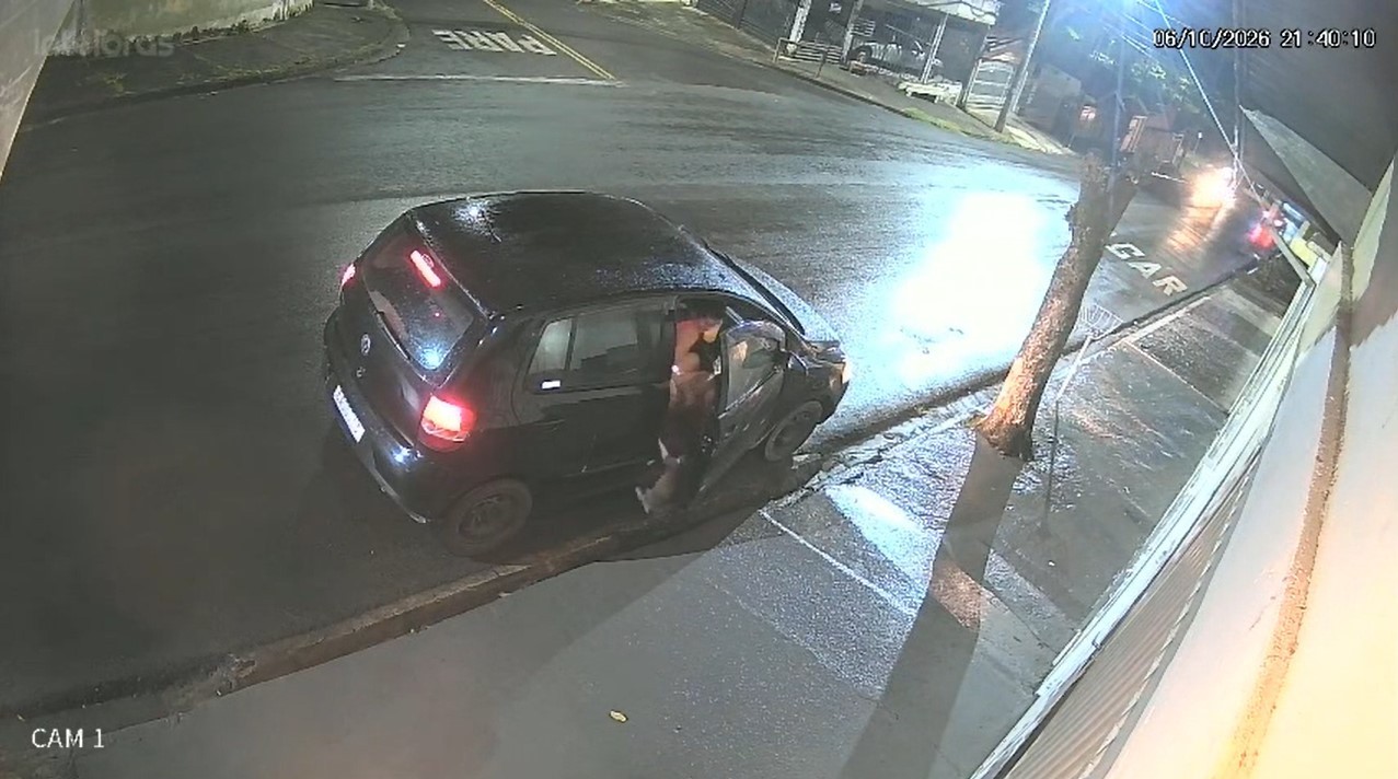 Gato é abandonado no meio da rua, sob chuva e quase acaba atropelado em Piracicaba; VÍDEO
