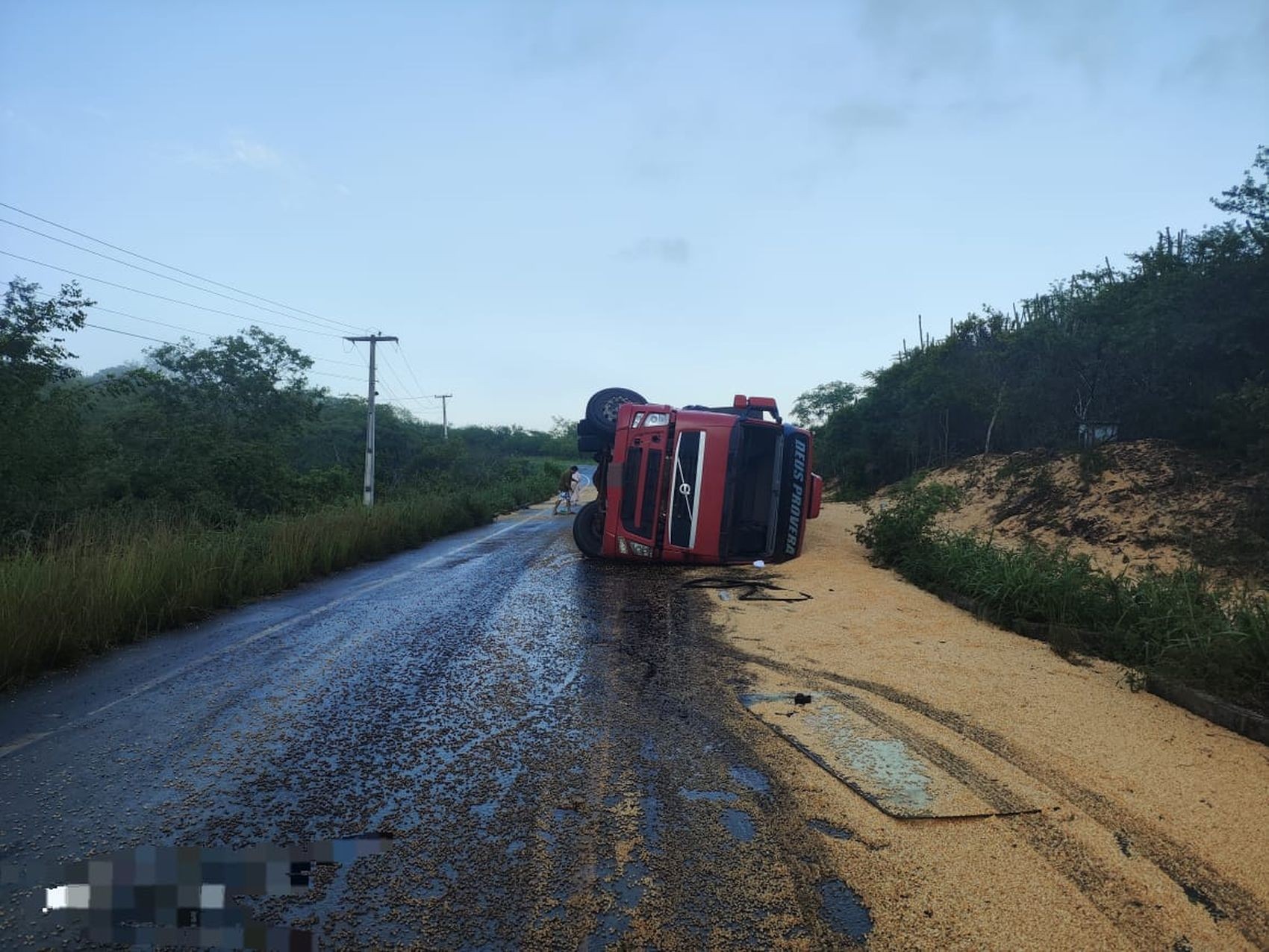 Caminhão carregado de milho tomba na SE-179 
