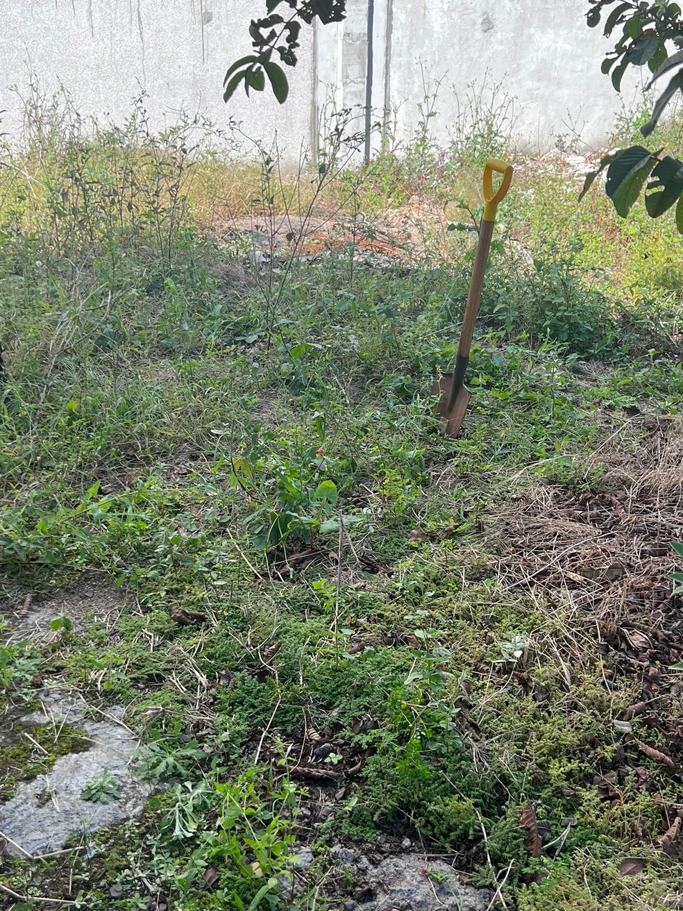 Local onde corpo de Jaqueline Rosa de Oliveira foi encontrado, em quintal de casa em Tubarão — Foto: Polícia Civil/Divulgação