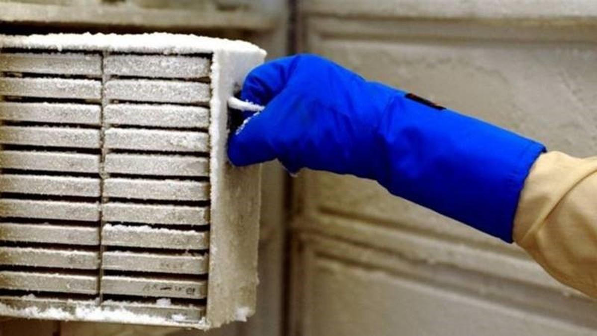 Investigación de 20 años arruinada después de que un limpiador desenchufa el congelador |  Ciencia