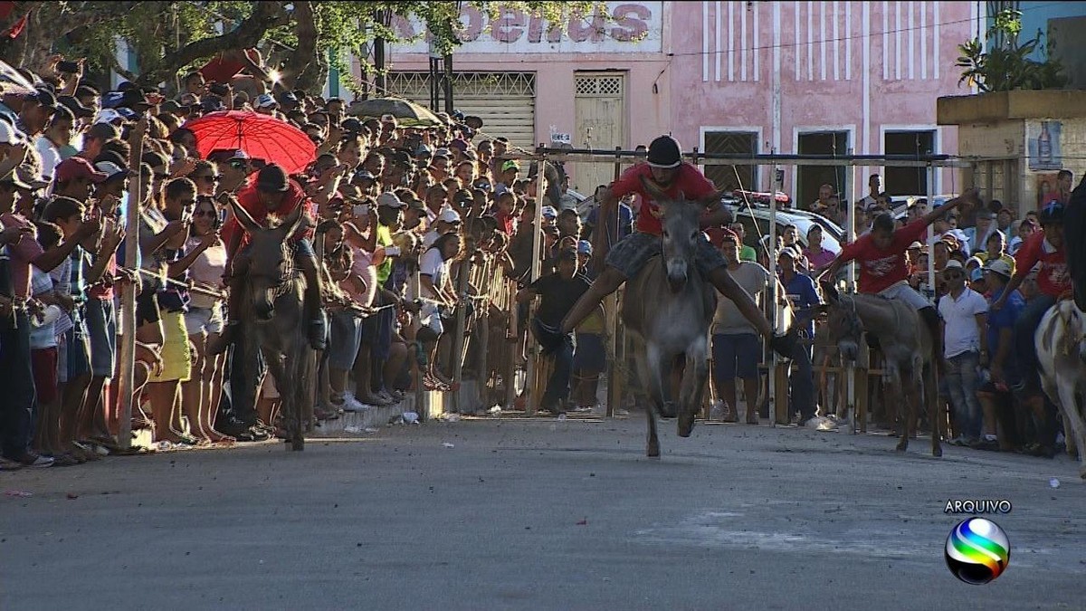 Festa Do Jegue Acontece Neste Fim De Semana Em Itabi Sergipe G