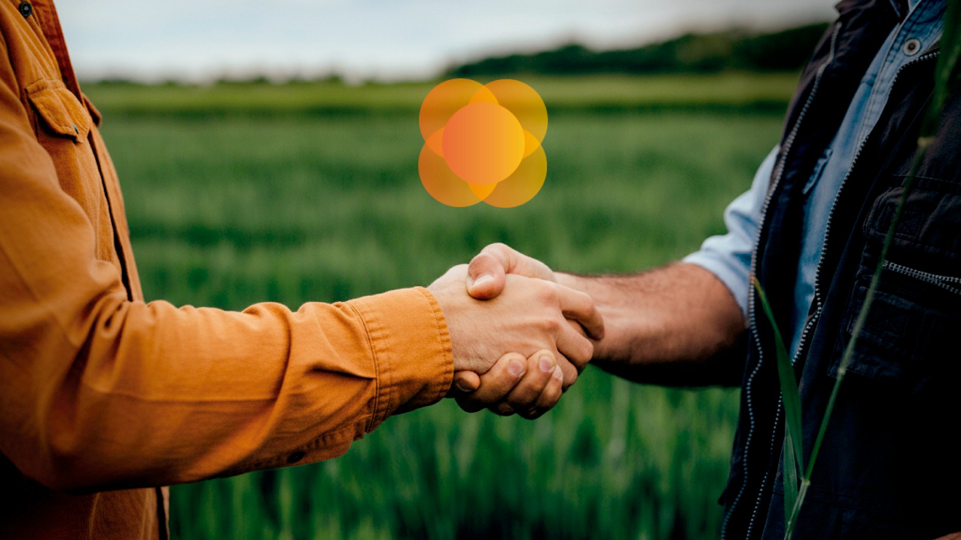 Cooperar para prosperar: Cresol inicia remuneração de juros aos cooperados