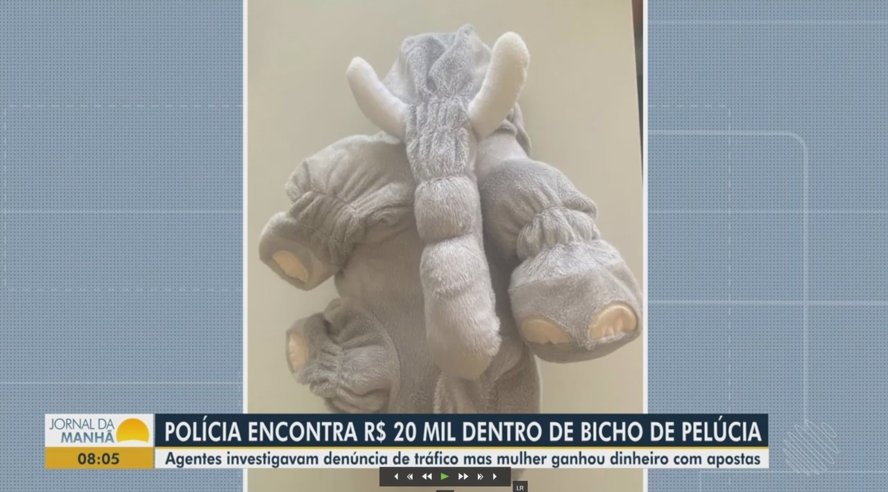 Mulher é detida com R$ 20 mil escondidos em pelúcia e é liberada após provar que conseguiu dinheiro em 'Jogo do Tigrinho'
