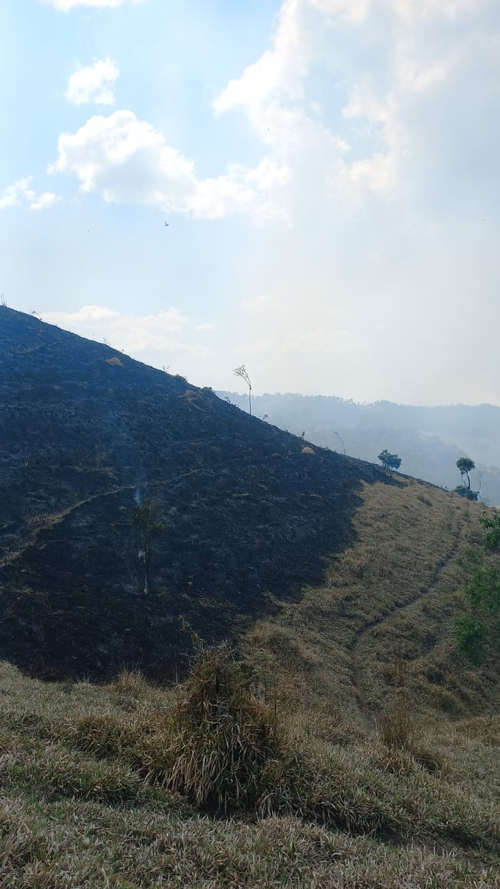 Queimada atinge área de mata do Parque Estadual Serra do Mar, em Cunha — Foto: Divulgação/Defesa Civil de São Paulo