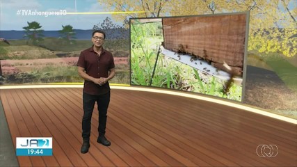 Confira os destaques do Jornal do Campo deste domingo (24)