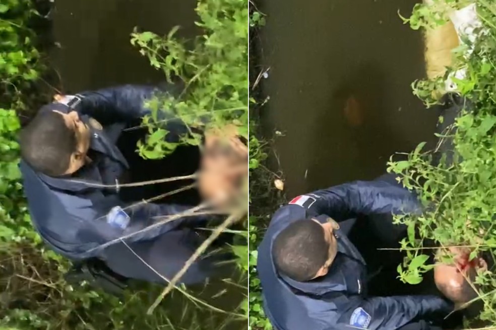 GCM socorreu e evitou que ciclista se afogasse em canal de Praia Grande (SP) — Foto: Reprodução/Redes Sociais