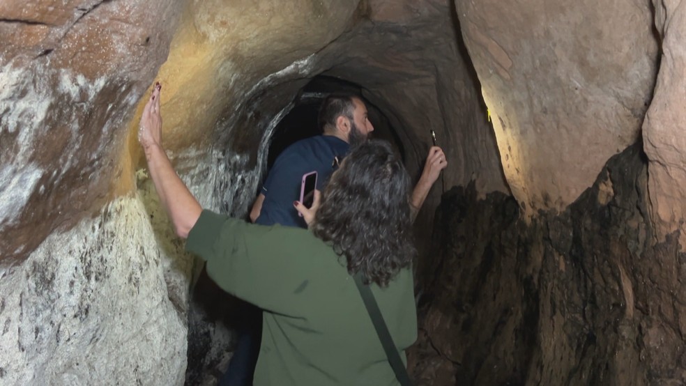 Paleotoca em vinícola de Sant'Ana do Livramento — Foto: Reprodução/RBS TV
