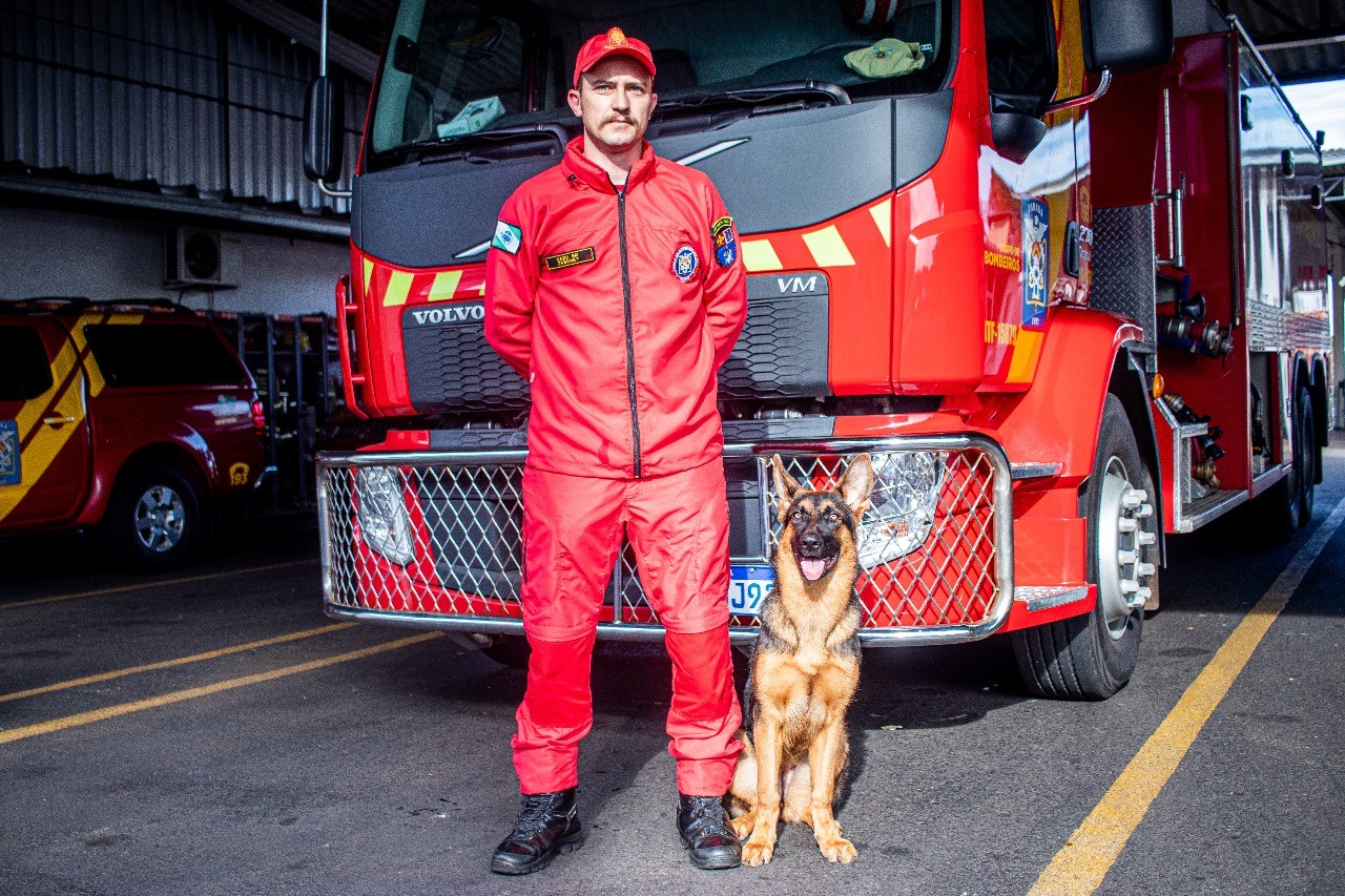 Conheça Frida, cadela de busca e salvamento que se prepara para auxiliar bombeiros no oeste e sudoeste do Paraná