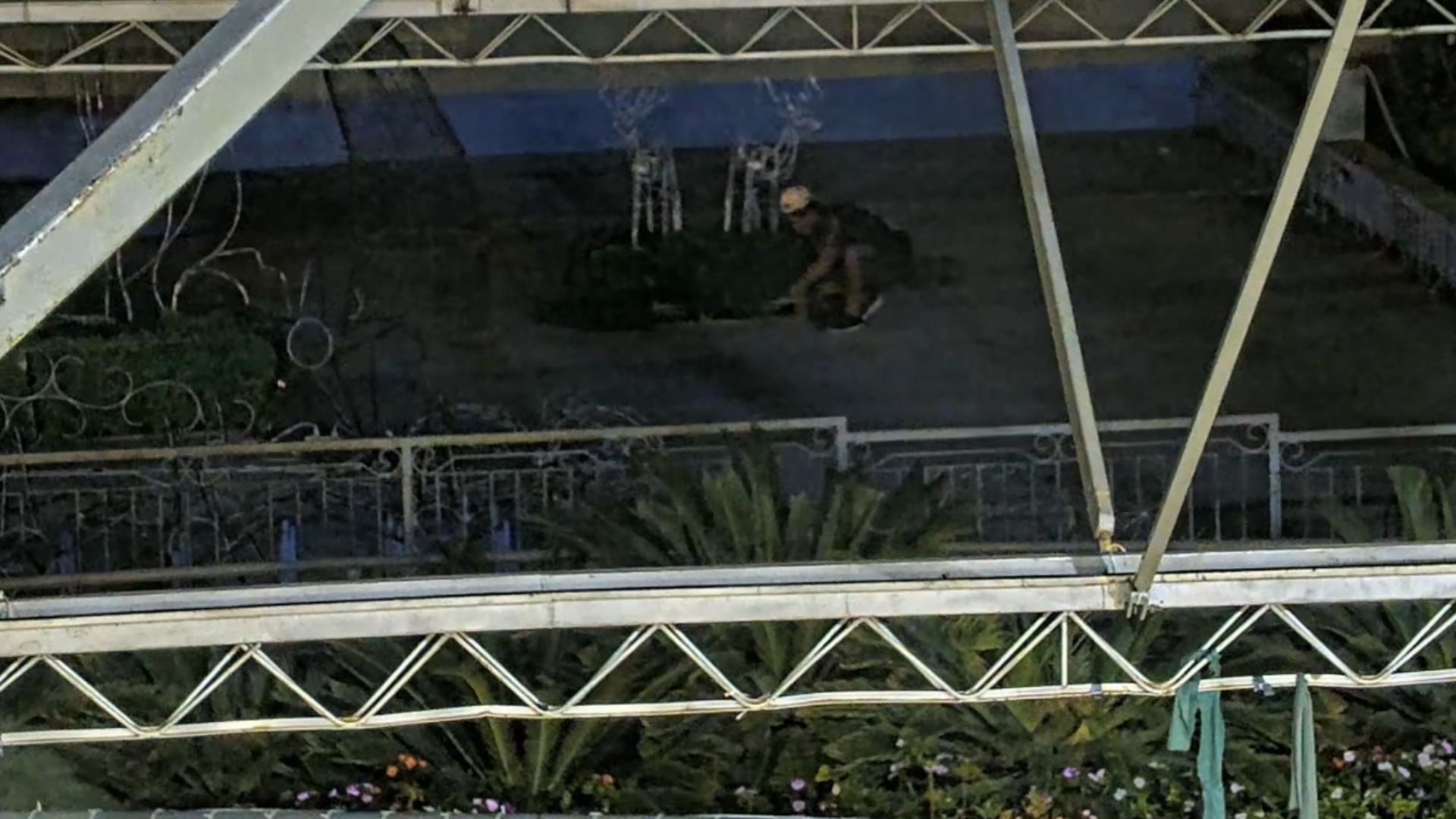 Jovem é preso em flagrante enquanto furtava fios de iluminação de Natal no interior de SP; vídeo