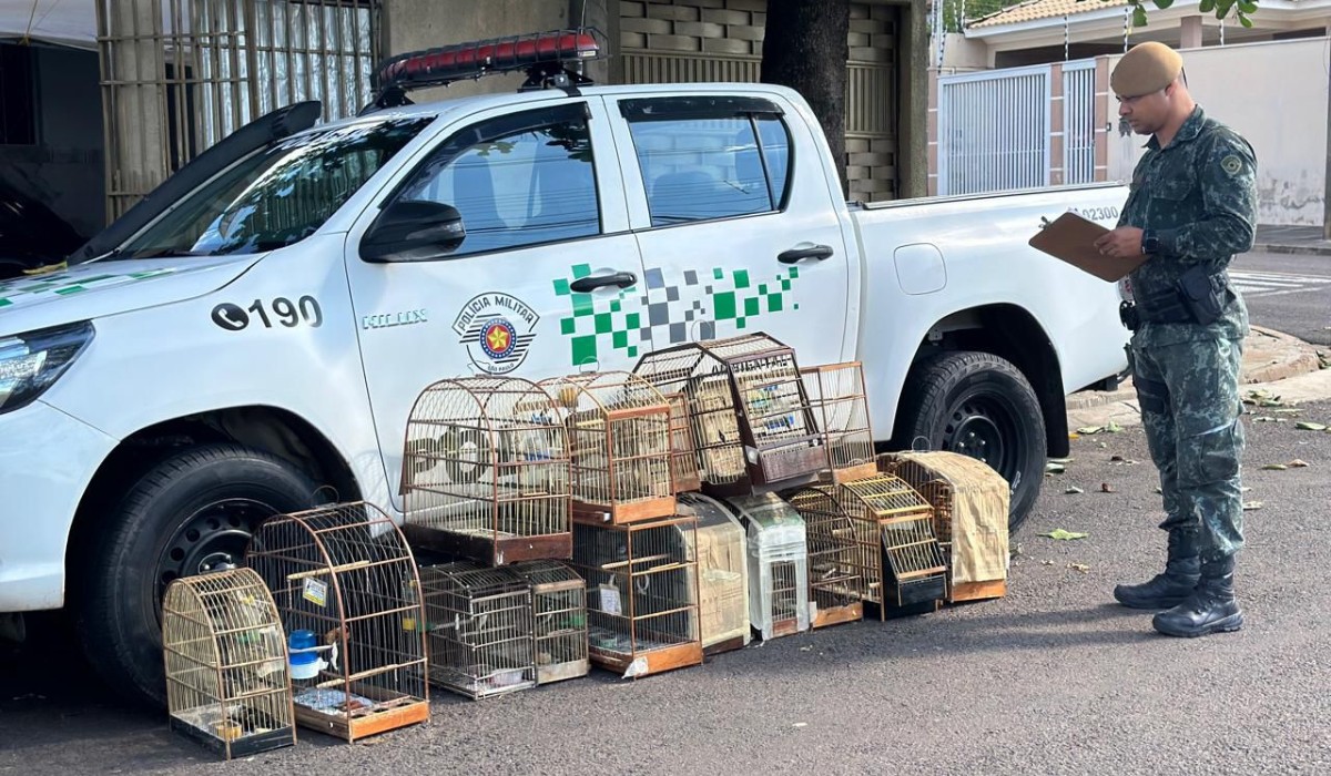 Idoso recebe R$ 9 mil em multas por manter aves silvestres em cativeiro no interior de SP