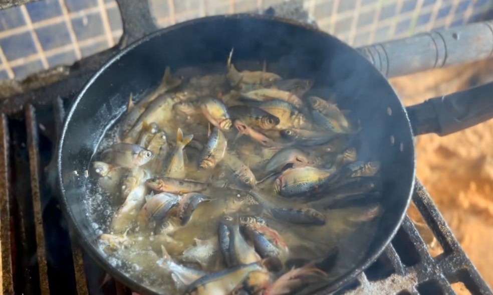 Banhistas do Igarapé Preto aproveitam e já fazem pescaria no local — Foto: Carla Carvalho/ Rede Amazônica