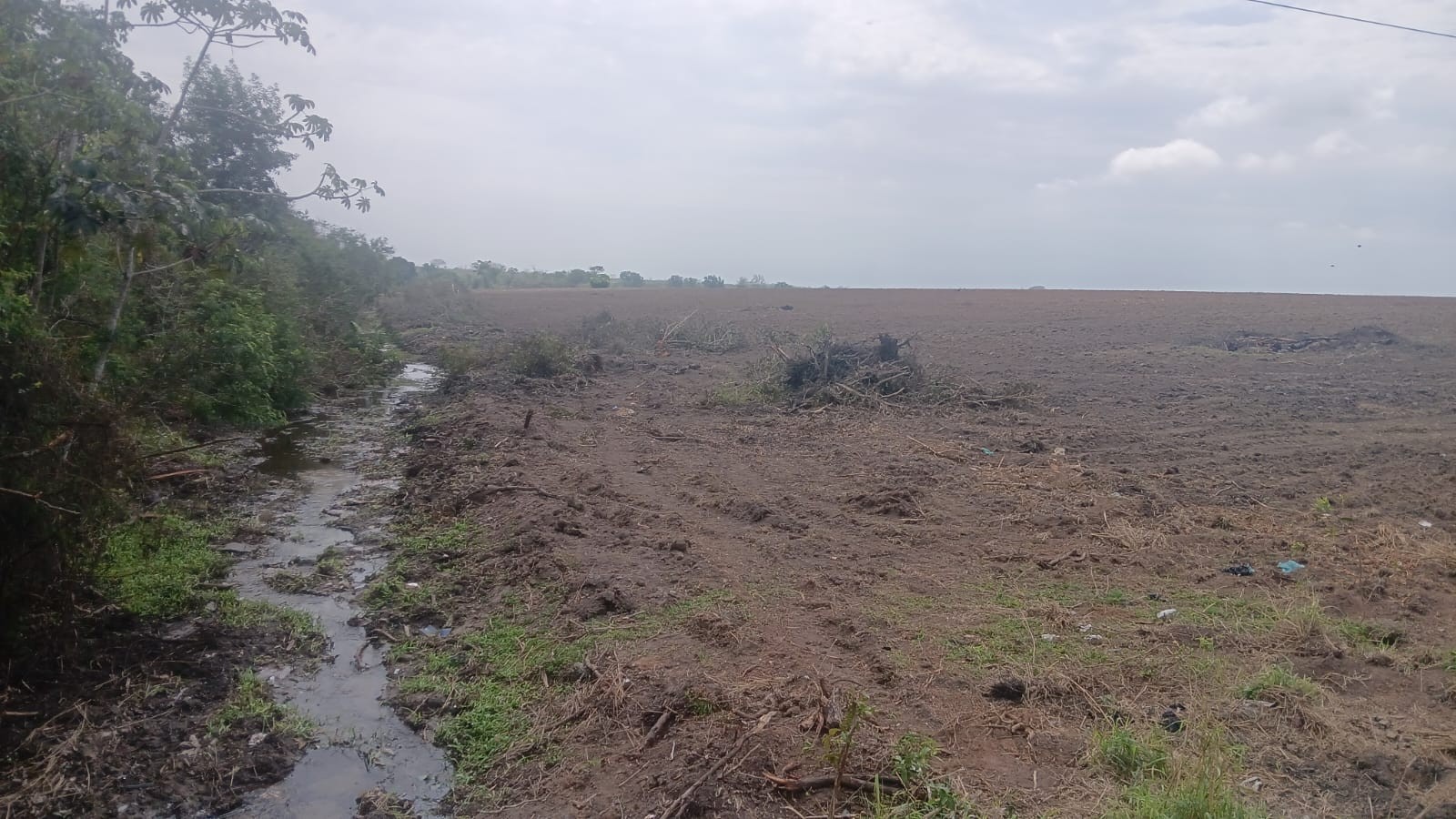 Área equivalente a mais de 14 campos de futebol é encontrada degradada em Campos, após denúncia