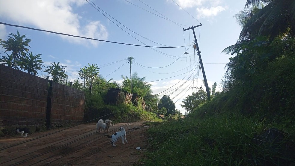 Segundo poste também ameaçava cair na rua — Foto: Maria do Socorro Araújo/Arquivo Pessoal