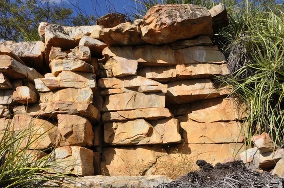 Estudante do IF Baiano leva à descoberta de sítio arqueológico inédito em Xique-Xique — Foto: IF Baiano
