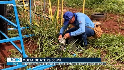 Prefeitura identifica focos do mosquito Aedes aegypti em Araguaína