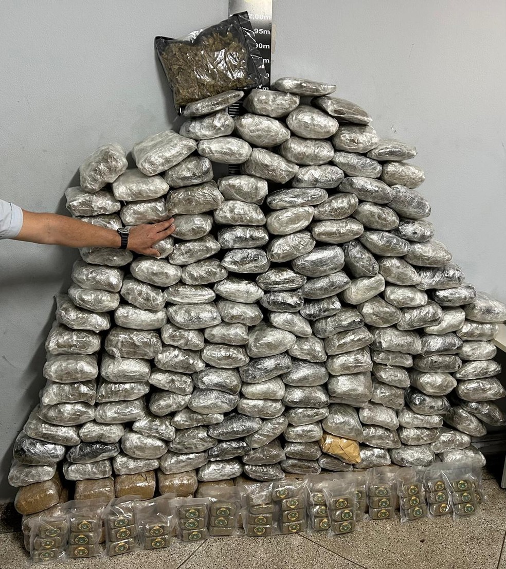 Motorista é preso com 111 kg de skank e haxixe escondido em carga de mudança, em Presidente Prudente (SP) — Foto: Polícia Civil